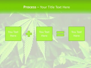 Hemp Leaf PowerPoint Template