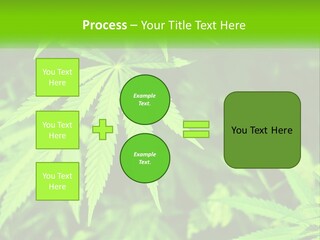 Hemp Leaf PowerPoint Template