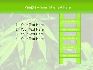 Hemp Leaf PowerPoint Template