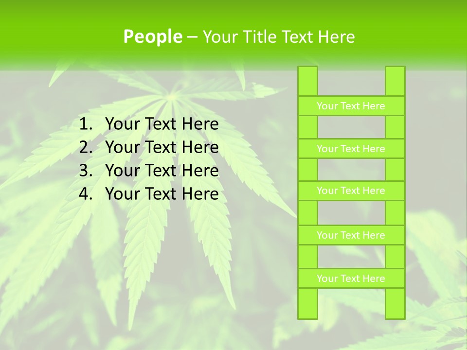 Hemp Leaf PowerPoint Template