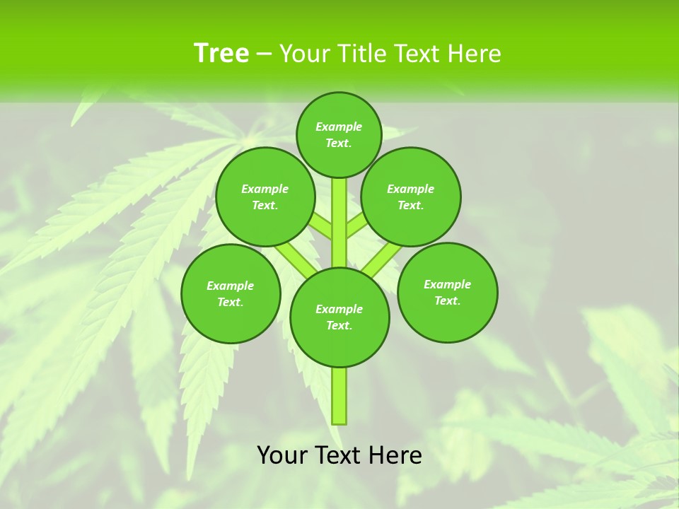 Hemp Leaf PowerPoint Template