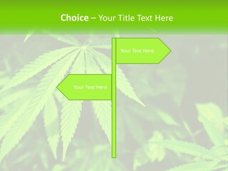 Hemp Leaf PowerPoint Template