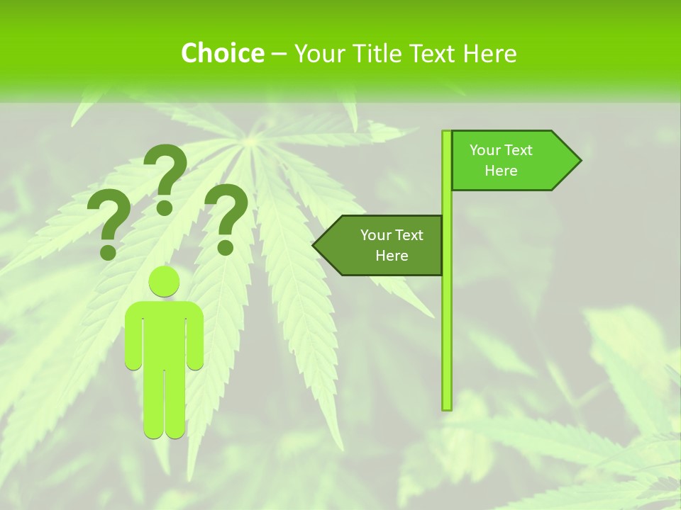 Hemp Leaf PowerPoint Template