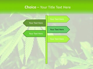 Hemp Leaf PowerPoint Template