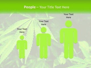 Hemp Leaf PowerPoint Template