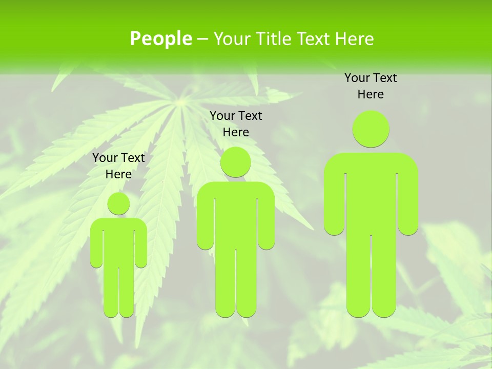 Hemp Leaf PowerPoint Template