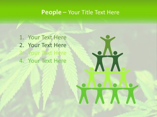 Hemp Leaf PowerPoint Template