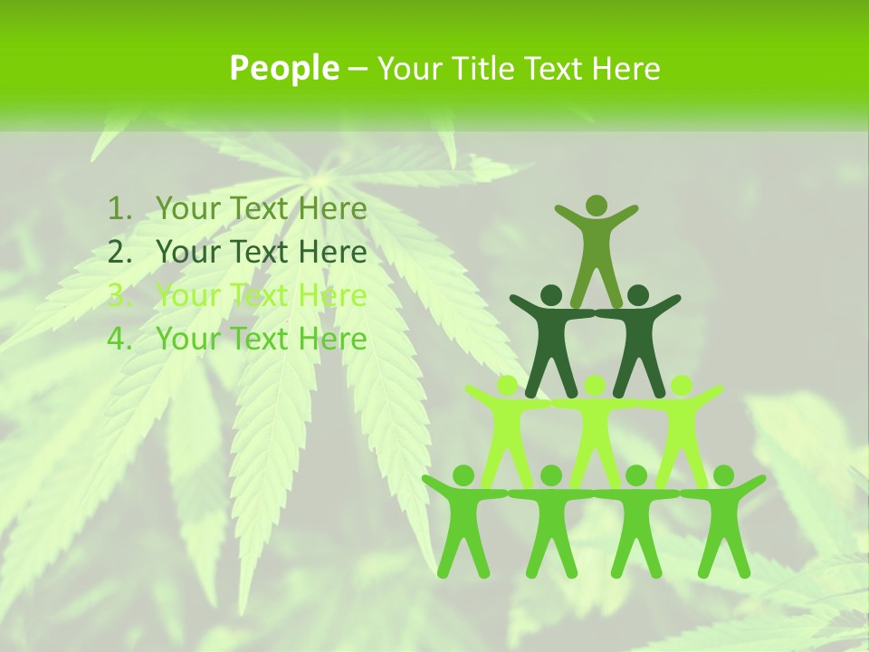 Hemp Leaf PowerPoint Template