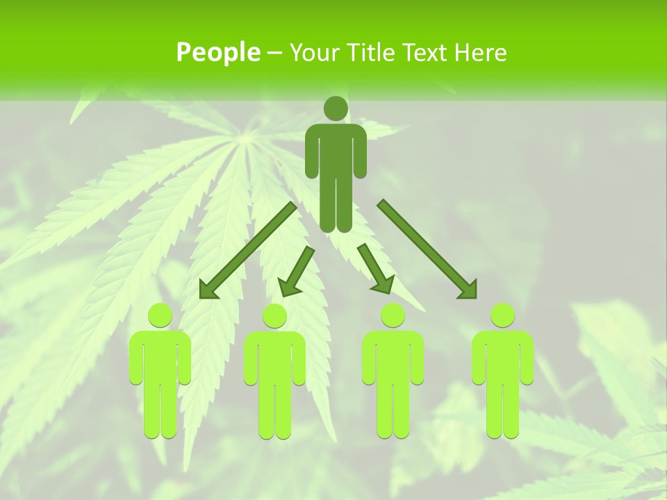 Hemp Leaf PowerPoint Template