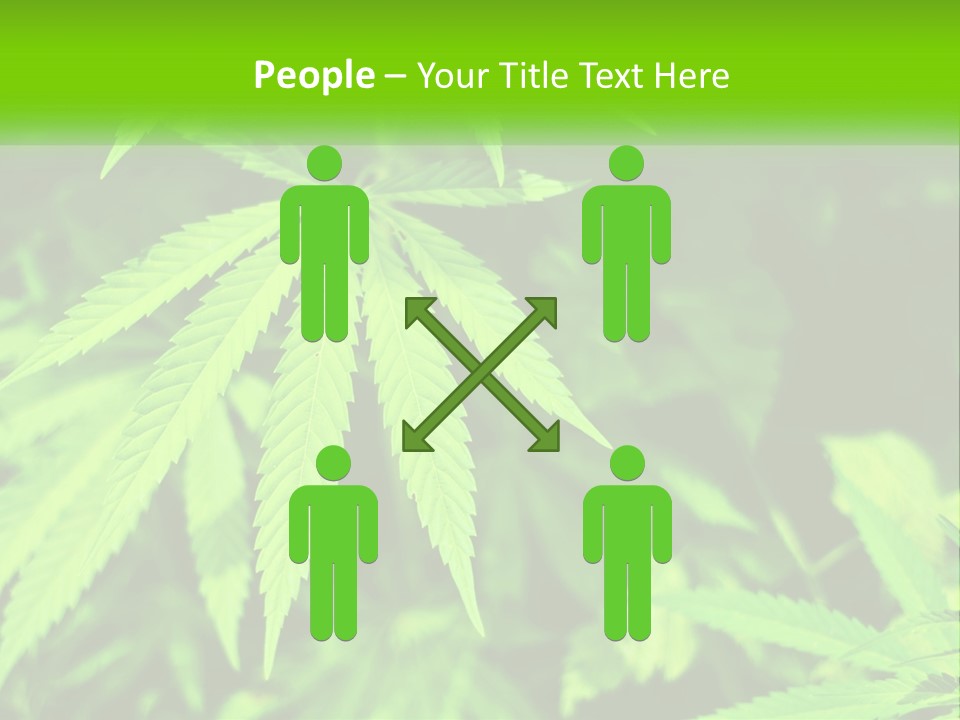 Hemp Leaf PowerPoint Template