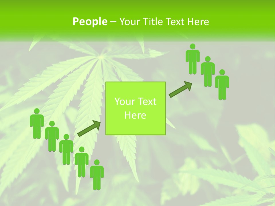Hemp Leaf PowerPoint Template