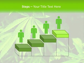 Hemp Leaf PowerPoint Template