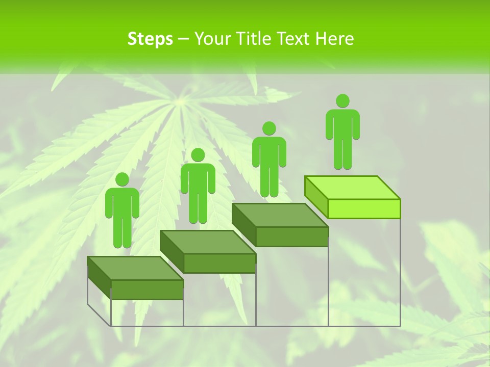 Hemp Leaf PowerPoint Template
