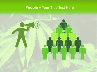 Hemp Leaf PowerPoint Template