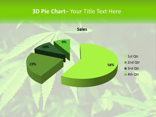 Hemp Leaf PowerPoint Template