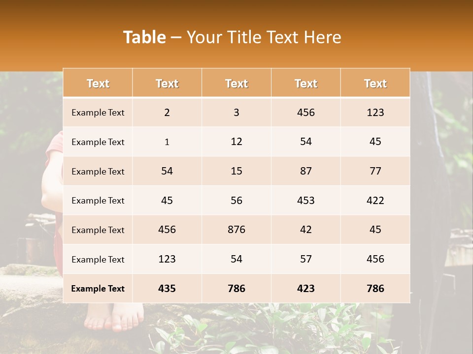 Girl By The Bridge PowerPoint Template