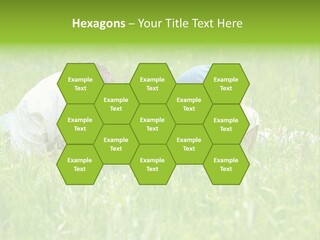 Family Resting On The Grass PowerPoint Template