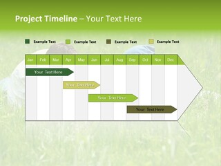 Family Resting On The Grass PowerPoint Template