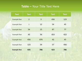 Family Resting On The Grass PowerPoint Template