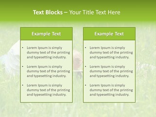 Family Resting On The Grass PowerPoint Template
