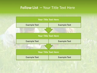 Family Resting On The Grass PowerPoint Template