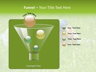 Family Resting On The Grass PowerPoint Template