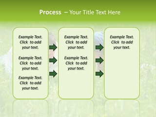 Family Resting On The Grass PowerPoint Template