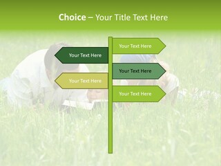 Family Resting On The Grass PowerPoint Template