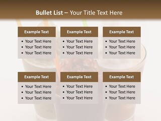 Ice Cream PowerPoint Template