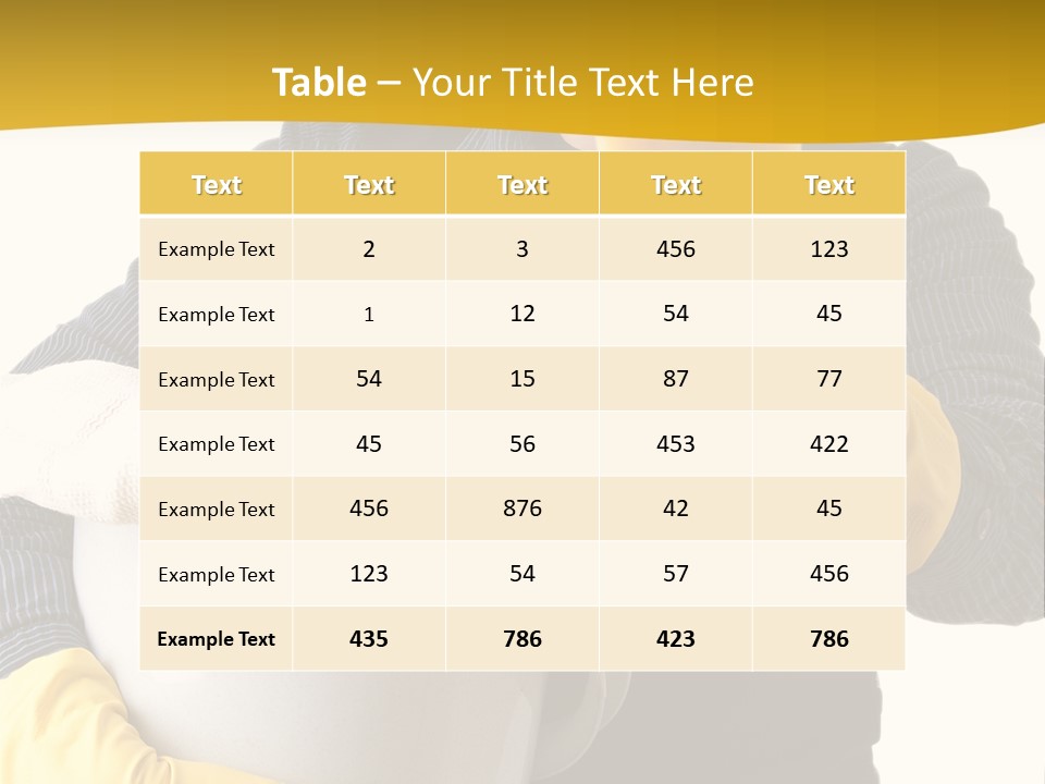 Cleaning House PowerPoint Template