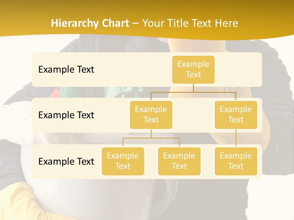 Cleaning House PowerPoint Template