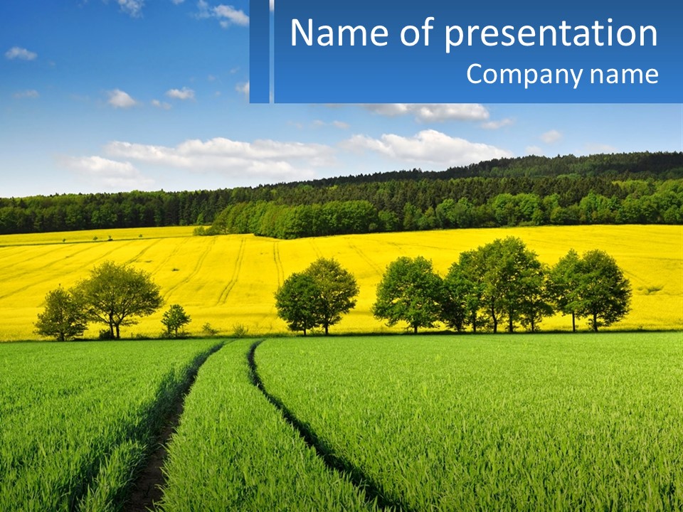 Fields Of Grass PowerPoint Template