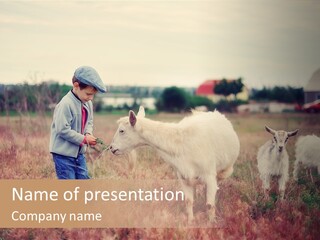 The Boy Feeds The Goat PowerPoint Template