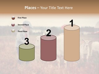 The Boy Feeds The Goat PowerPoint Template