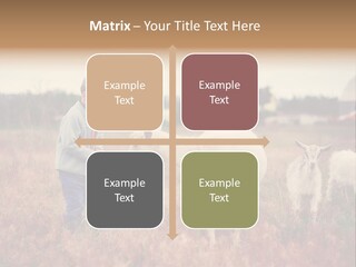 The Boy Feeds The Goat PowerPoint Template