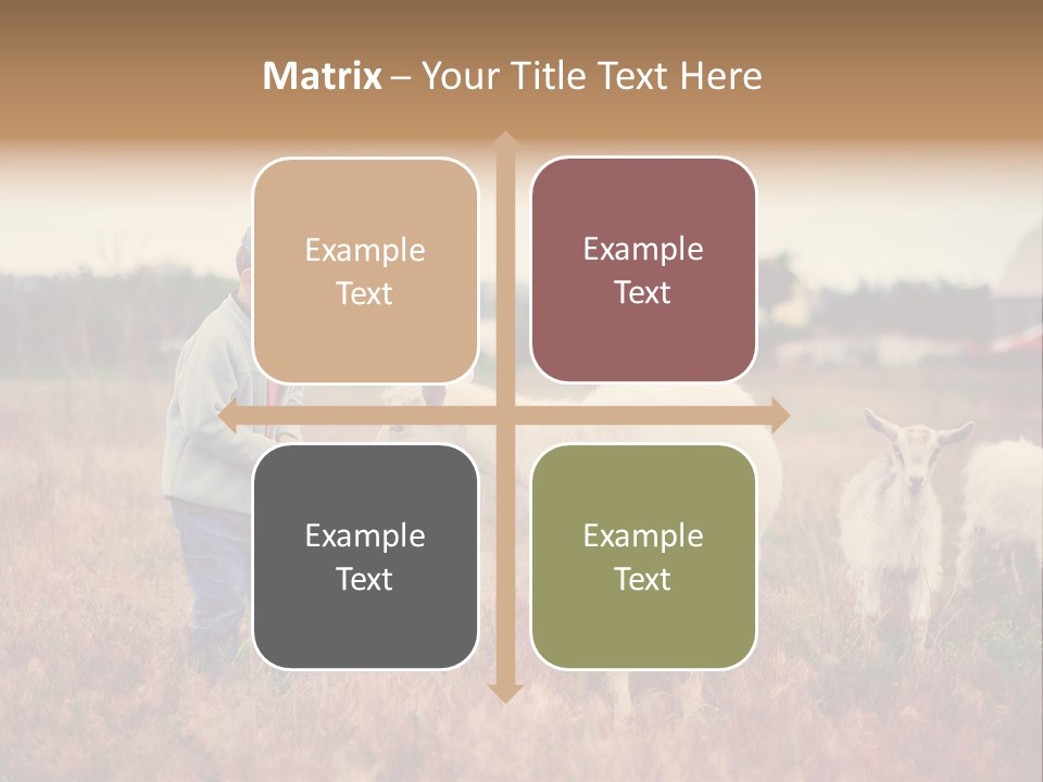 The Boy Feeds The Goat PowerPoint Template