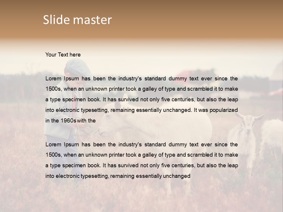 The Boy Feeds The Goat PowerPoint Template