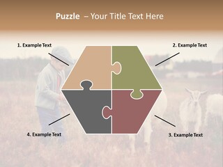 The Boy Feeds The Goat PowerPoint Template