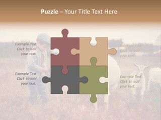 The Boy Feeds The Goat PowerPoint Template