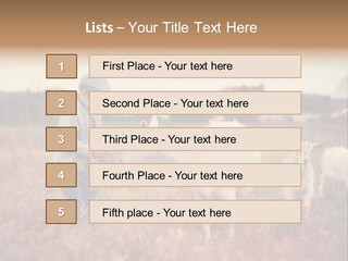 The Boy Feeds The Goat PowerPoint Template