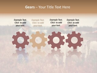 The Boy Feeds The Goat PowerPoint Template