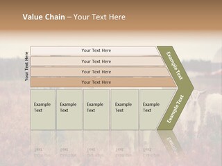 The Boy Feeds The Goat PowerPoint Template