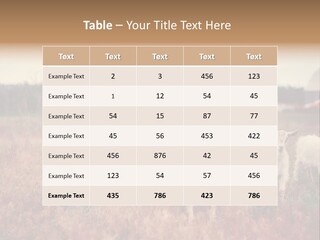 The Boy Feeds The Goat PowerPoint Template