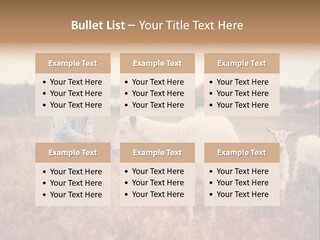 The Boy Feeds The Goat PowerPoint Template