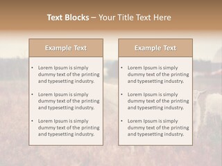 The Boy Feeds The Goat PowerPoint Template