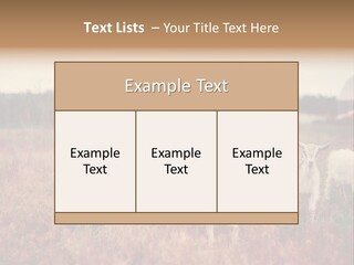 The Boy Feeds The Goat PowerPoint Template