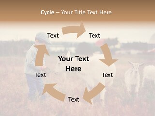 The Boy Feeds The Goat PowerPoint Template