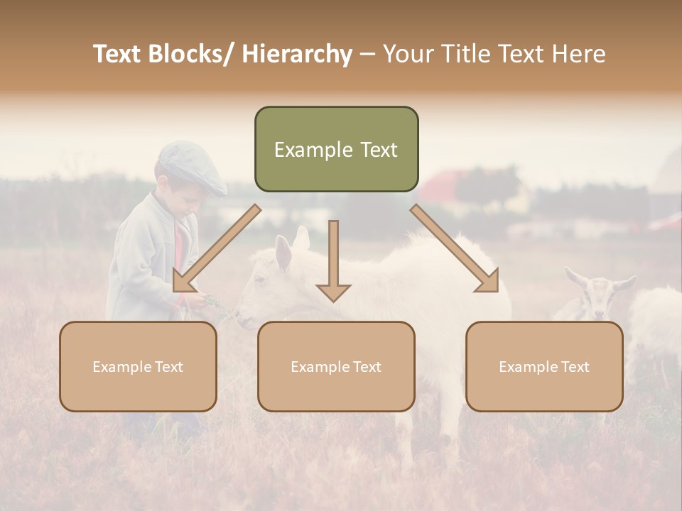 The Boy Feeds The Goat PowerPoint Template