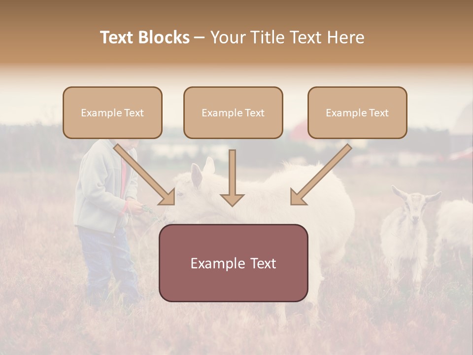 The Boy Feeds The Goat PowerPoint Template