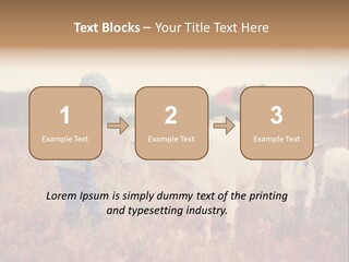 The Boy Feeds The Goat PowerPoint Template